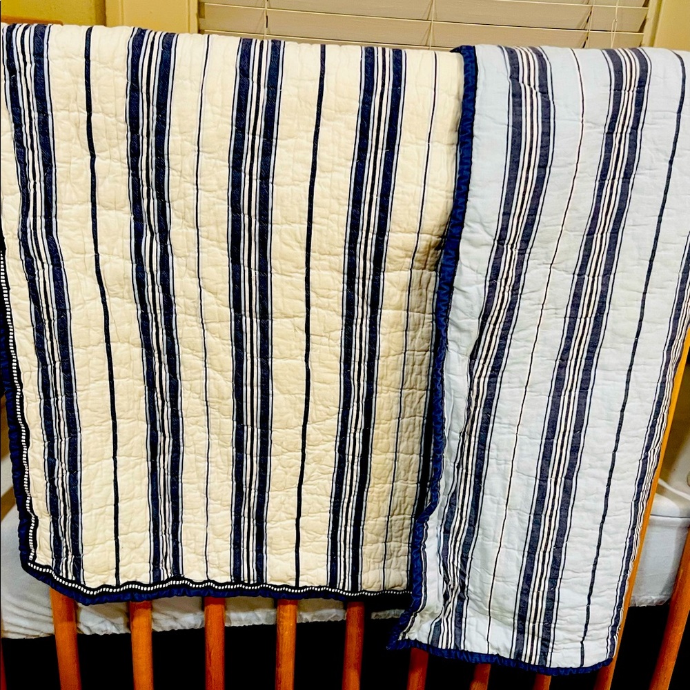 Pottery Barn Kids Chase blanket